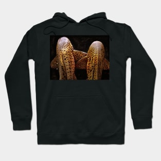 LEOPARDS 9ELEVEN ELEVEN Hoodie